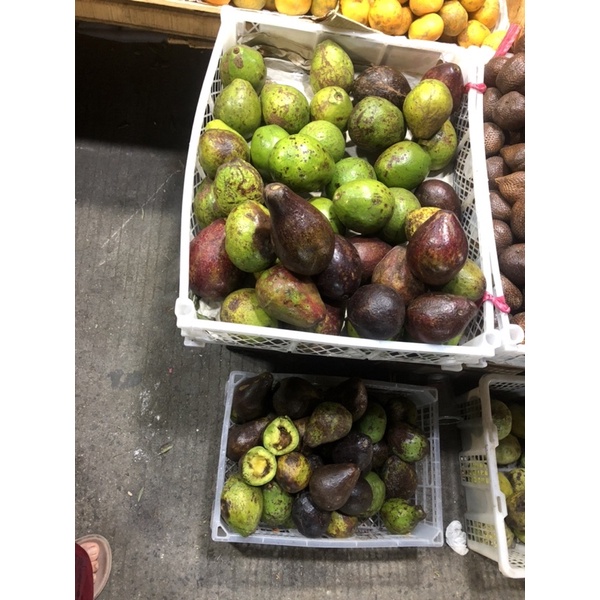 

alpukat mentega