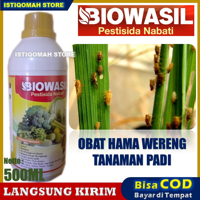 BIOWASIL 500ml Pestisida Nabati Obat Pengendali Hama Wereng Pada Tanaman Padi yang Bagus dan Manjur Murah TERLARIS 100% Alami Original Ampuh Bisa untuk Wereng Hijau &amp; Coklat Pada Padi