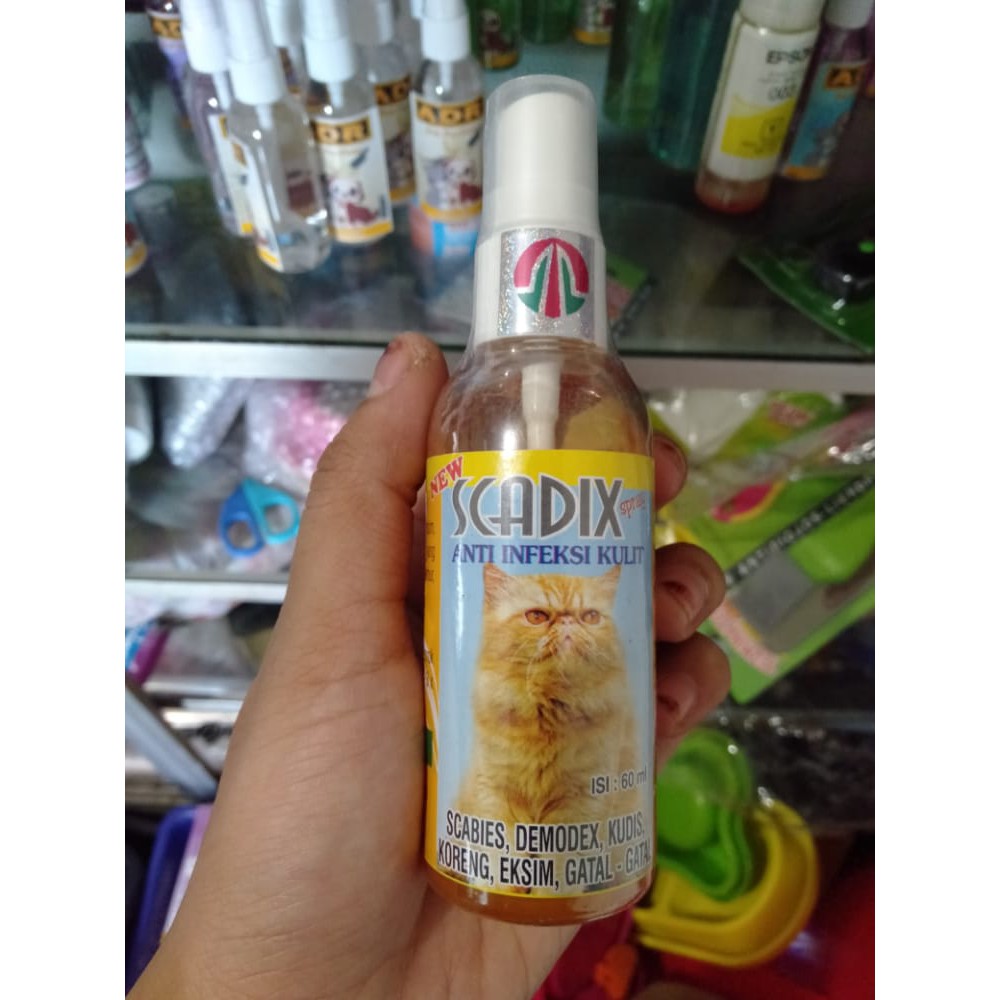 scadix obat jamur kucing