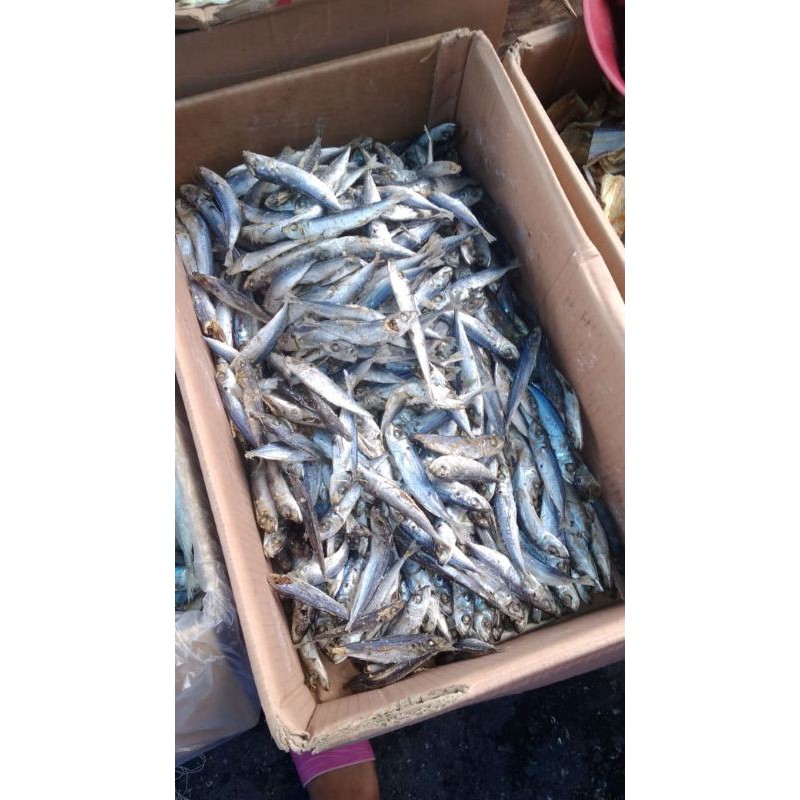 

IKAN ASIN REBUS