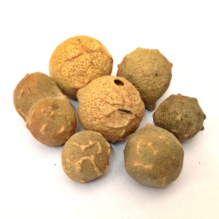 Bubuk Majakani 500 g Simplisia Serbuk Manjakani Herbal Buah Majakan / Majaan Oak Gall