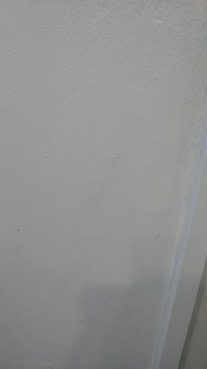 Tey-17 Batik Wanita Asj Sa Hrb026 Kenongo Kemeja Tosca Pendek