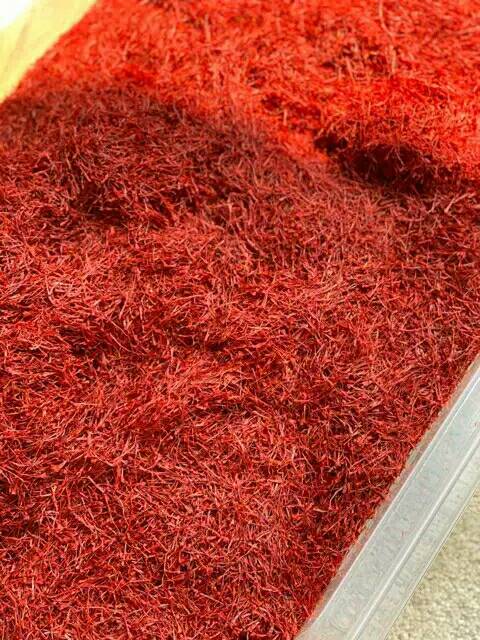 Bunga saffron kashmir/ safron / 1 gram tanpa jar