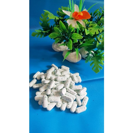 10 tablet calsium kalsium kalk calcium laktat penguat tulang ayam