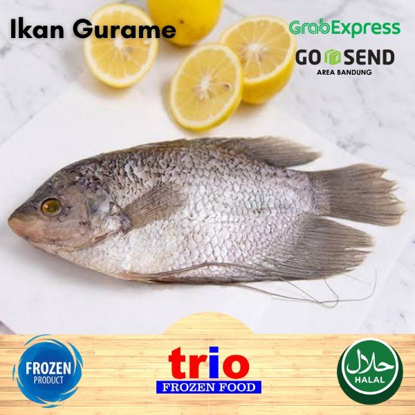 

spesial Ikan gurame Utuh Frozen Bersih tanpa sisik 500-600gr Murah