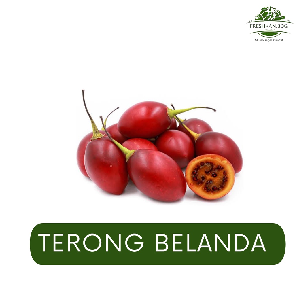 

TERONG BELANDA FRESHKAN