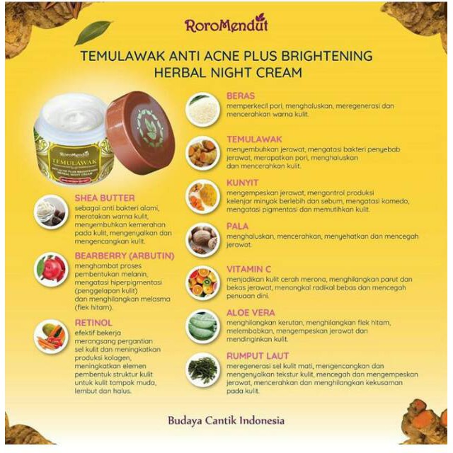 RORO MENDUT TEMULAWAK ANTI ACNE BRIGHTENING NIGHT CREAM