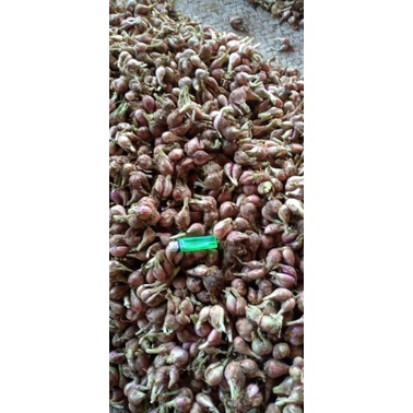 Bawang sumenep asli 1kg super