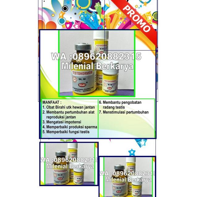 [PRODUK ARPBB] ORGINAL, TESTOHORMON OBAT HEWANTESTOHORMON, TESTOHORMON ASLI, Testohormon Original 5m