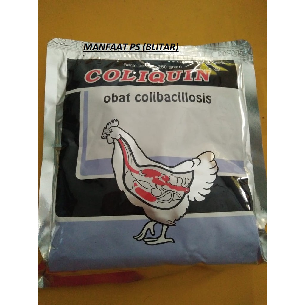 Coliquin 250 gram - obat collibacilosis pada unggas
