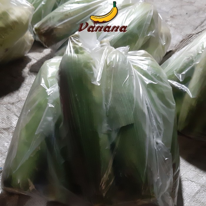 

Jagung 1 plastik isi 7 pcs