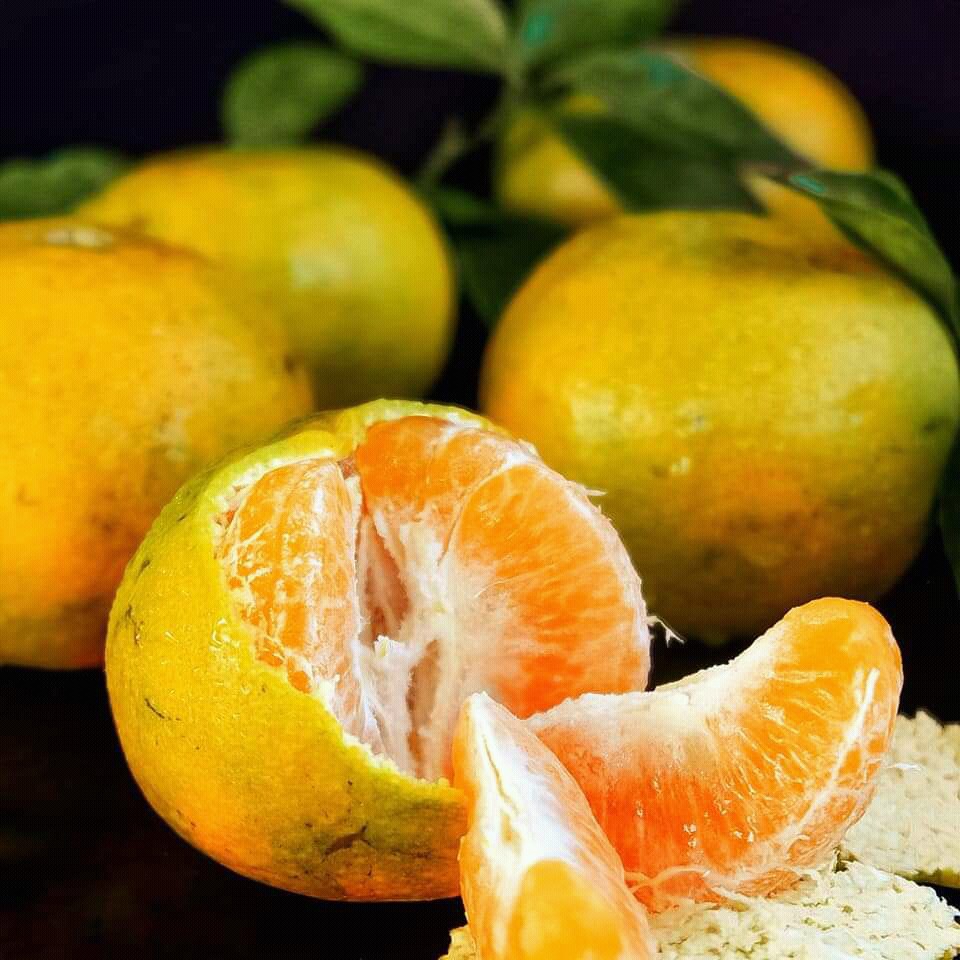 

Buah Jeruk Manis 1 Kg Buah Segar Pasar Murah Jogja