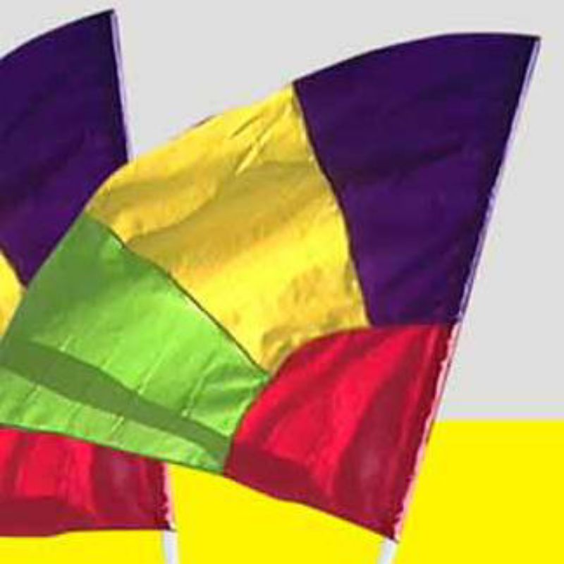 Jual BENDERA DRUMBAND SD / COLOR GUARD SD | Shopee Indonesia