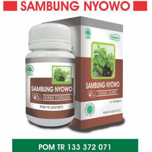 

Sambung Nyowo Obat Kolesterol Darah Tinggi Diabetes Herbal Indo Utama