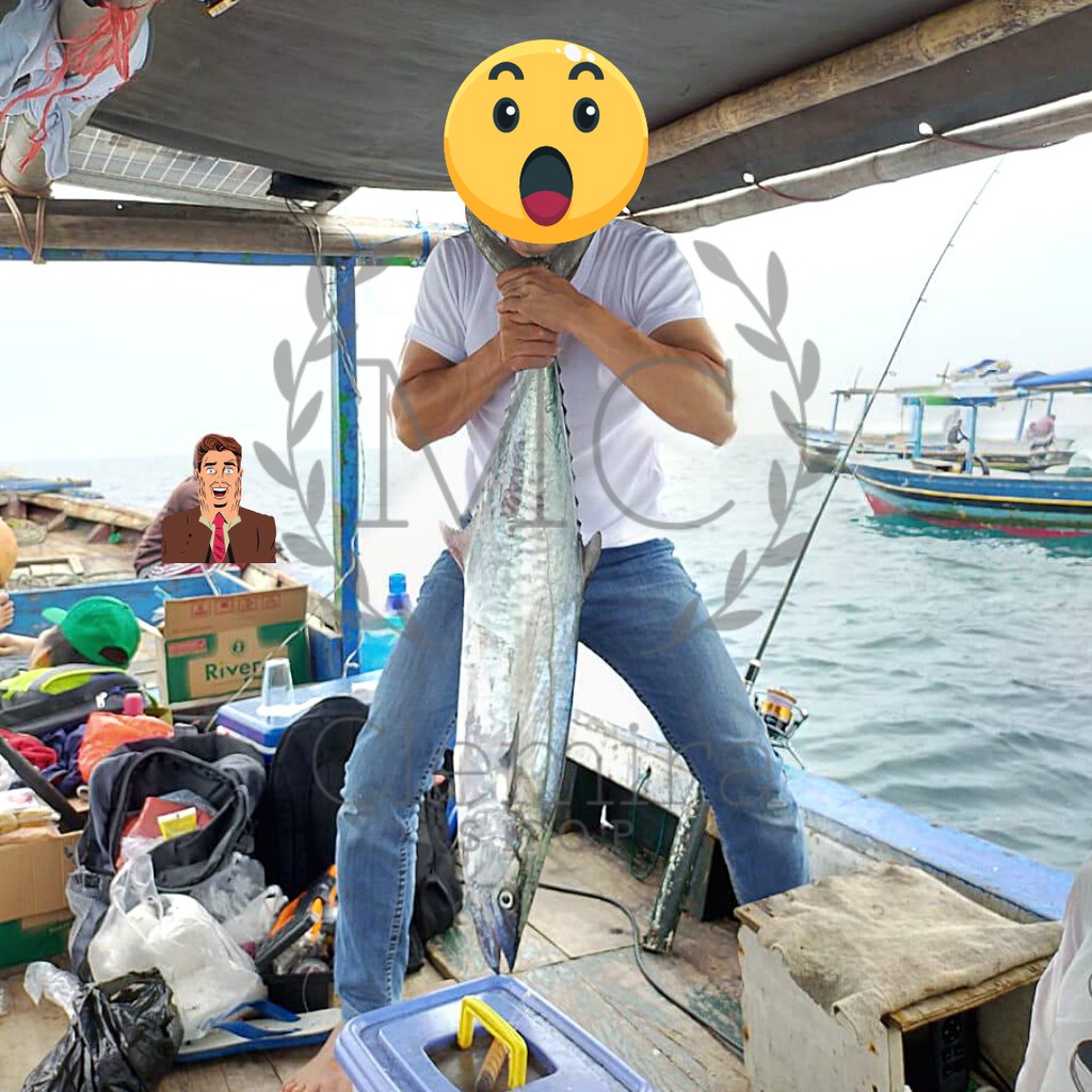 Konceran Tenggiri Barakuda / Rangkaian Kail Pancing Tenggiri Ring Bawah Cle Fishing