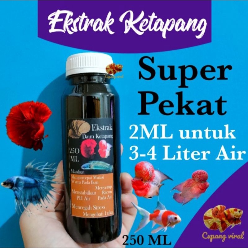 Ekstrak Daun Ketapang Super CUPANG VIRAL 250ML