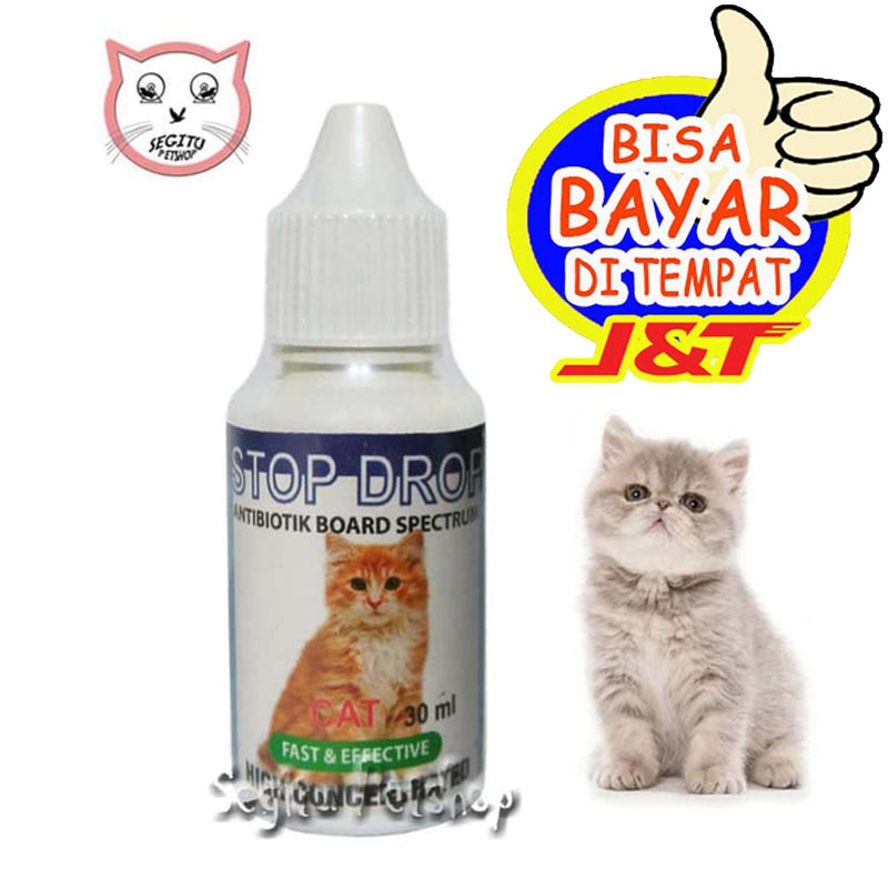 Obat Antibiotik Kucing Kitten Virus Flu Deman Kucing Stop Drop Shopee Indonesia