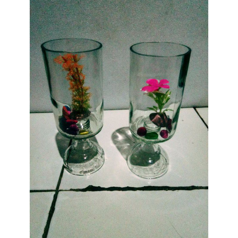 AKUARIUM MINI CUPANG / TANK CUPANG / AQUARIUM GUPPY / AQUASCAPE UNIK/ TOPLES CUPANG