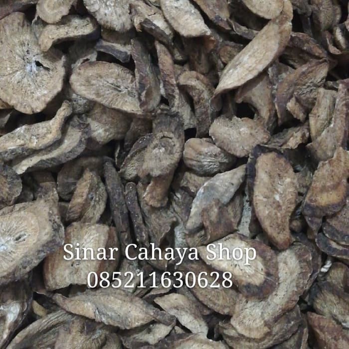 

Niu Bang Pian 100gram Artii Furtus