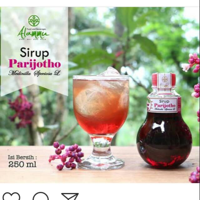 

COD- ready isi paket 3 Sirup parijotho muria penyubur kandungan dan promil buah parijoto segar