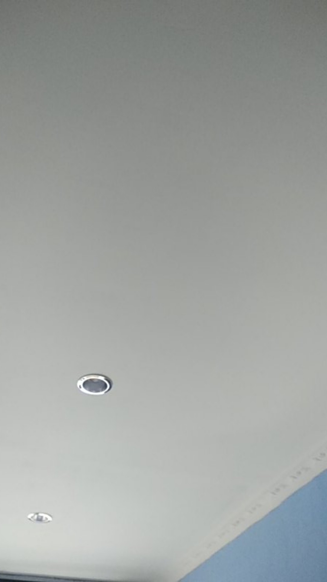 Daun Kering#sikas#mawar Jambe Original