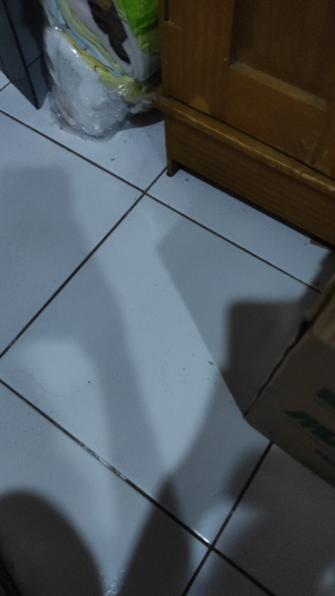 Racun Tikus Maowang Kuning Mao Wang Kuning Biasa