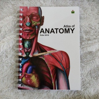 Atlas of Anatomy MMN Buku Anatomi tubuh manusia