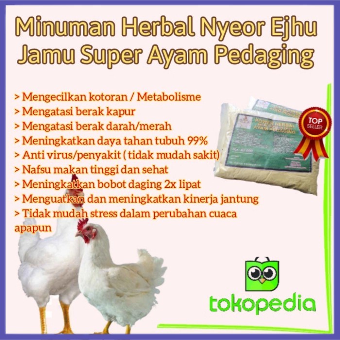 

✔ COD ✔ Jamu Ayam Pedaging Vitamin Penggemuk Ayam Broiler