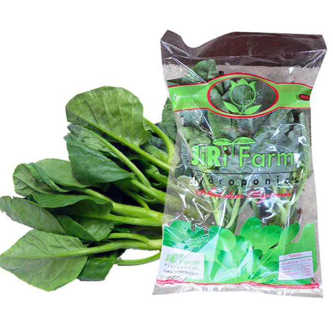 

Kailan 200 Gr Jirifarm / Sayuran Sehat Premium Siap Olah / Masak