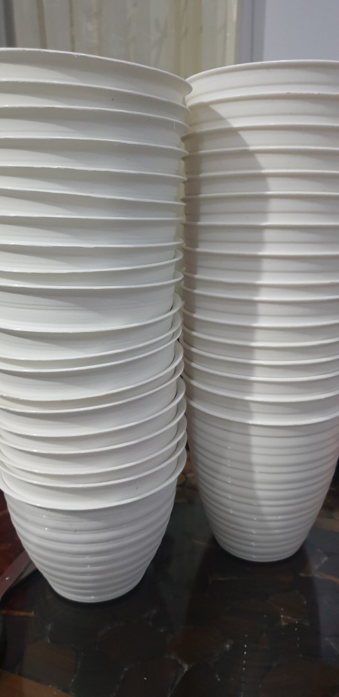 Pot Tawon /pot Nanas 17