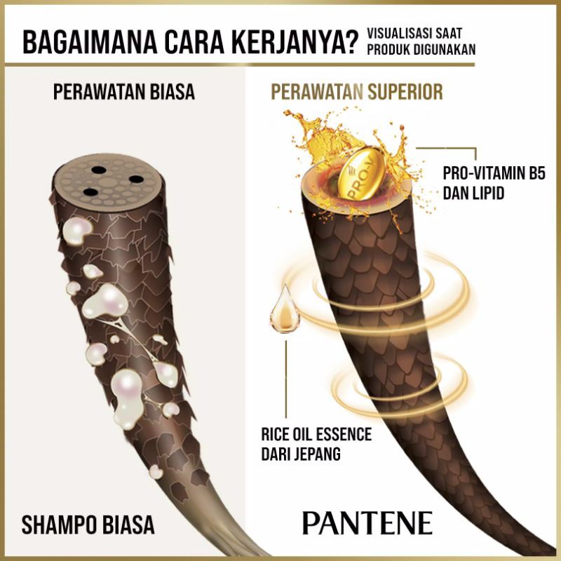 Shampo PANTENE 400 ml HAIR FALL CONTROL Shampoo Perawatan Rambut Rontok 400ml