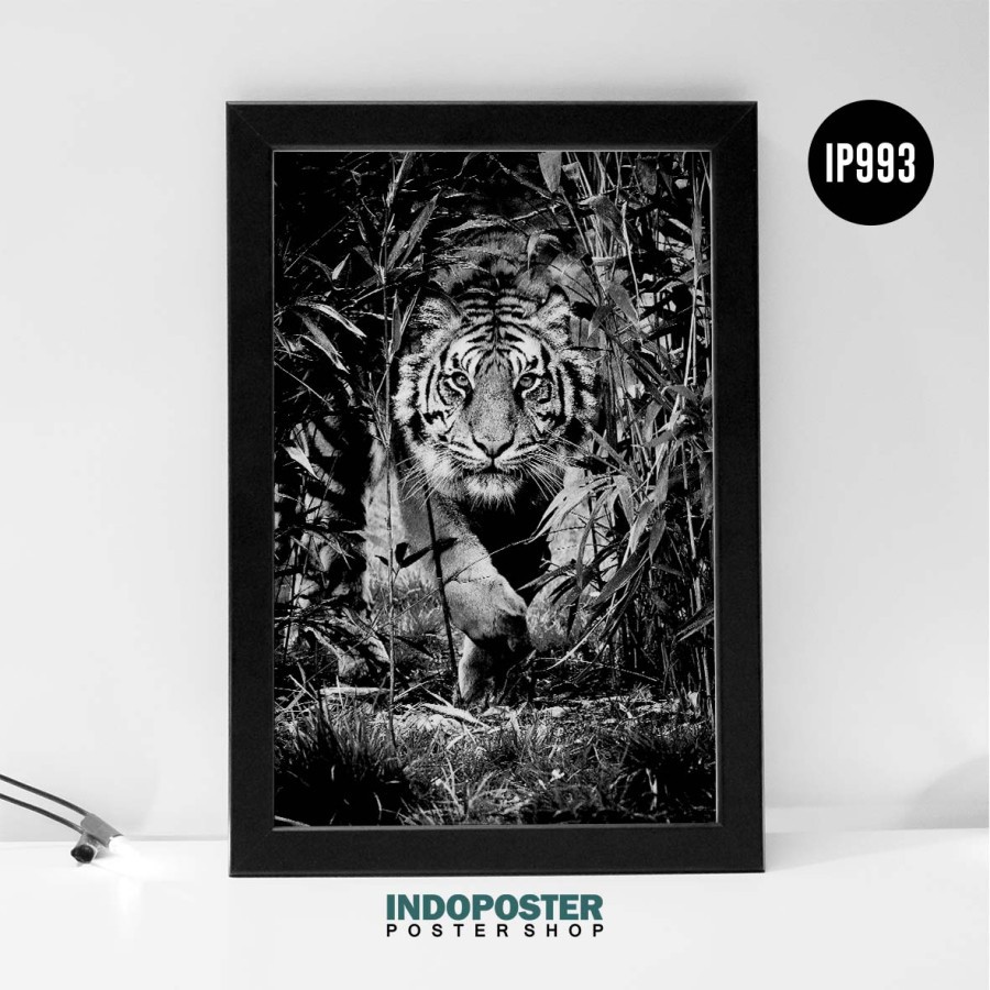 Poster Tiger Harimau Black & White Hitam Putih Aesthetic