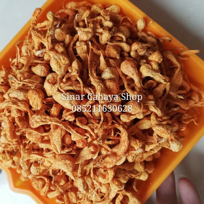 

Jamur bunga cordycep natural flower 100gram