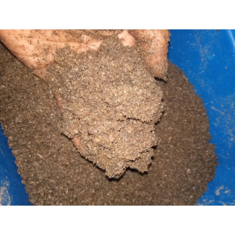 

tepung magot murni100%......1kg.