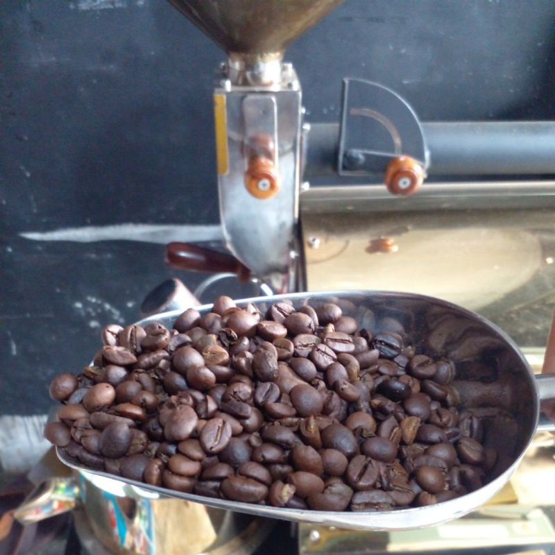 

KOPI ROBUSTA BIJI (ROAST BEAN)