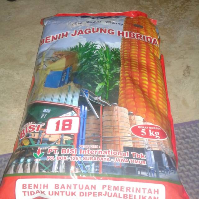 

Bibit Jagung