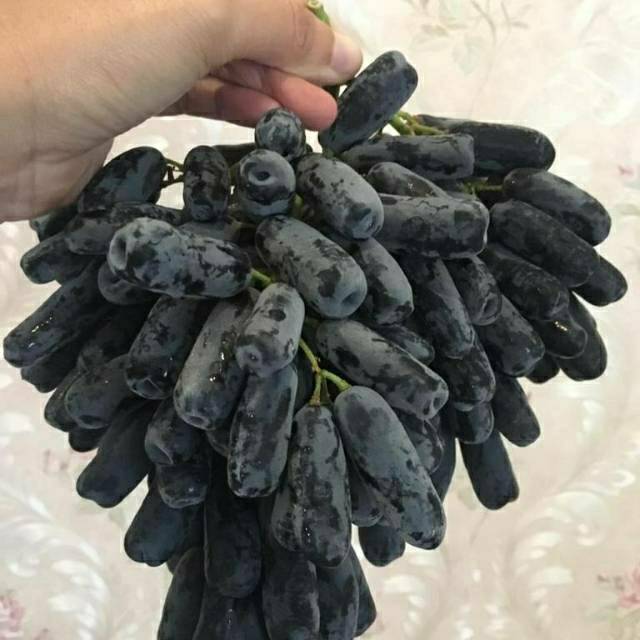 

Moondrop Seedless Grapes/Sweet Saphire Australia
