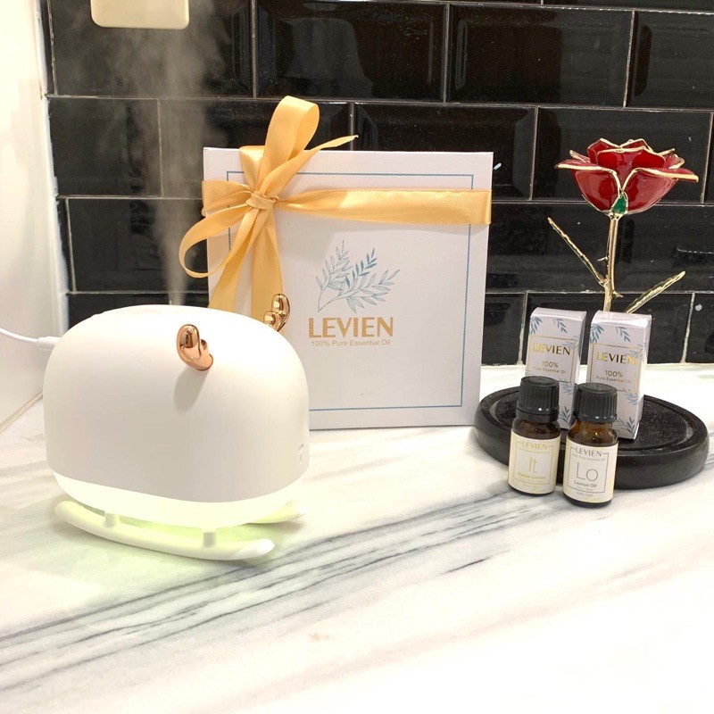 Levien Hampers Parsel Kado Giftbox Diffuser rusa cute + 2 essential oil + hardbox