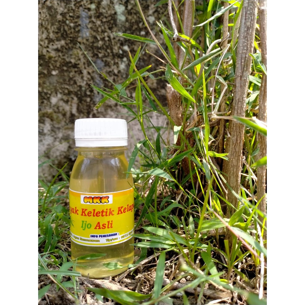 

Minyak ampuh minyak keletik kelapa ijo asli