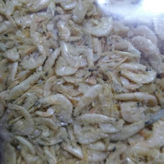 

Paling Murah Udang Kering Laut 100Gram Utk Makanan Anak Kura Size 2Cm