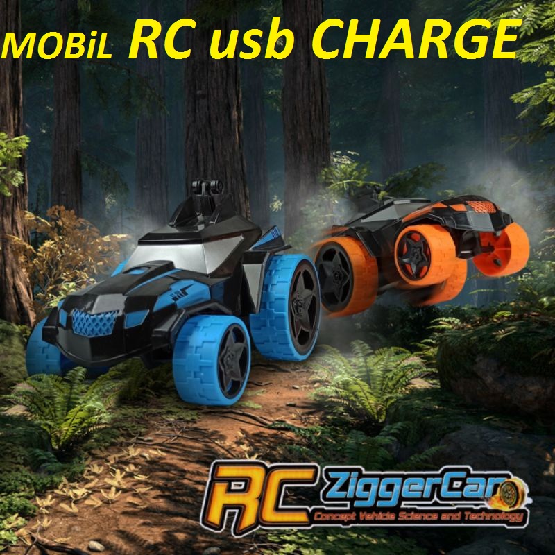 Mainan Mobil Ardiles Radio Control FLIP STUNT CAR - Mobil Radio Control Ardiles ZIGGER CAR BEETLE CAR cas Ziger