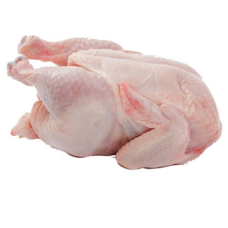 

AYAM NEGERI BESAR - 1.2 KG
