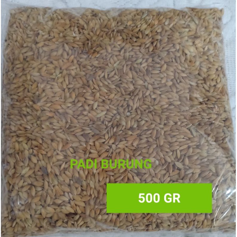 Padi Burung / Gabah Padi Pakan Burung, Ayam BERKUALITAS Repack 250 Gr, 500gr,