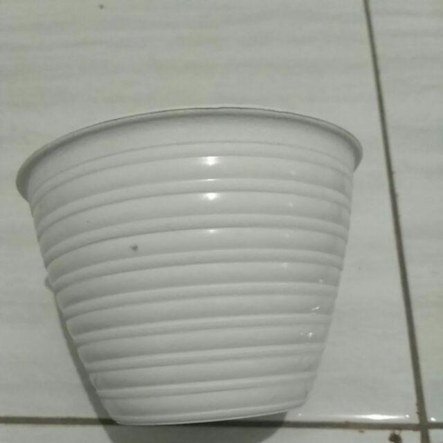 Pot Tawon 12 Cm