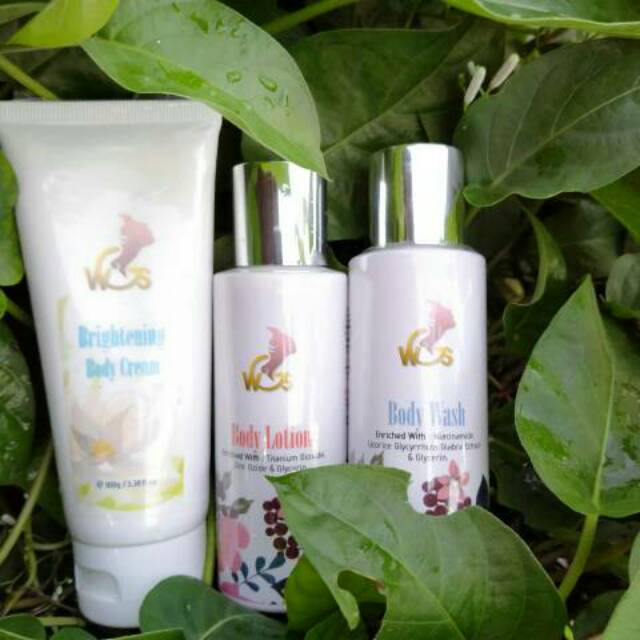 (WGS) PAKET BADAN WHITENING GLOSSY SKINCARE