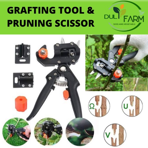 Grafting Tools and Purning Scissor Alat Cangkok dan Stek Praktis