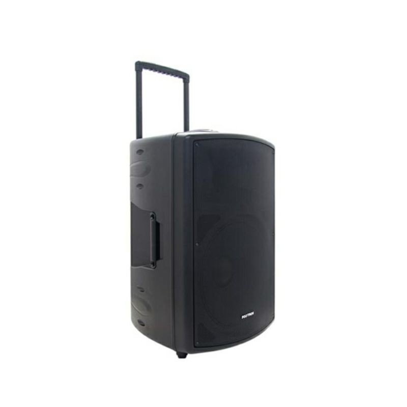 PROFESSIONAL ACTIVE SPEAKER POLYTRON PASPRO15F2 PASPRO 15F2

