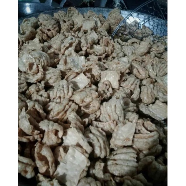 

Batagor Kering Batagor Pangsit Rasa Ikan Asli