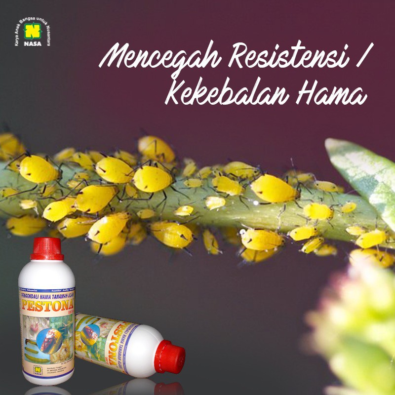 PESTONA NASA Pestisida Organik