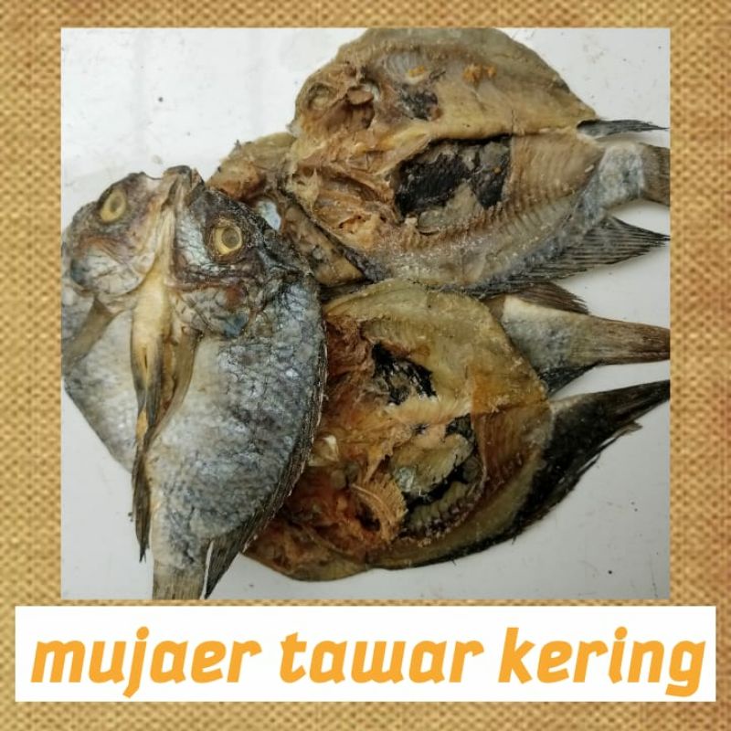

Ikan Asin Jaer Tawar